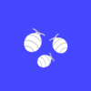 Illustration of what pubic lice look like under a microscope