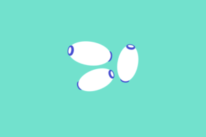 An illustration of a thrush cell