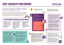 Image of the sexuality and gender handout