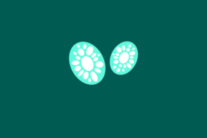 illustration of a procistis cell