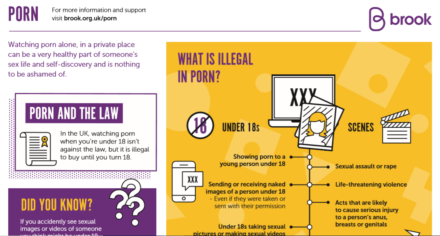 Free RSE resources – Brook