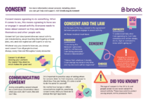 An image of the consent leaflet