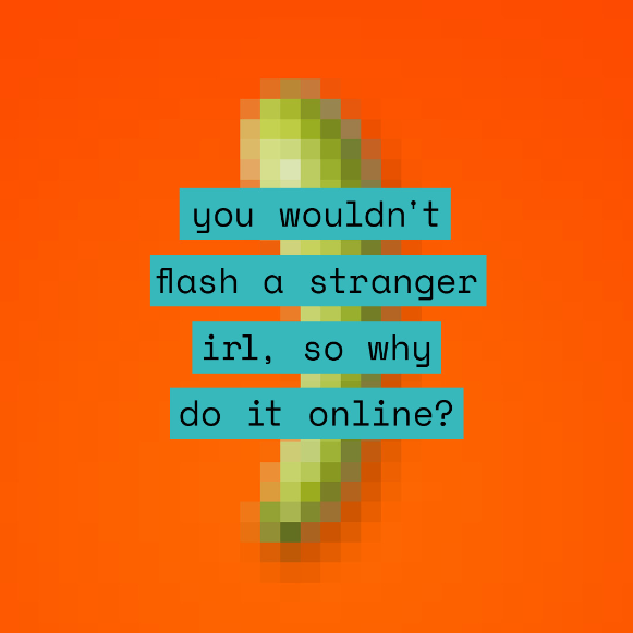 Pixelated image of a cucumber with the text "you wouldn't flash a stranger irl, so why do it online?" overlaid on top