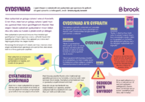 Image of consent handout in welsh