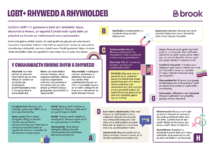 Image of sexuality and gender handout in welsh