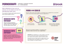 Image of the porn handout in Welsh