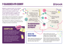 Image of puberty handout in welsh