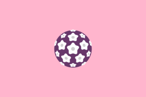 illustration of HPV cell