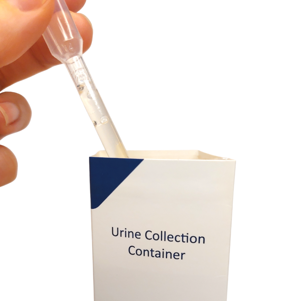 Using a pipette to extract urine from the urine collected in the cardboard box