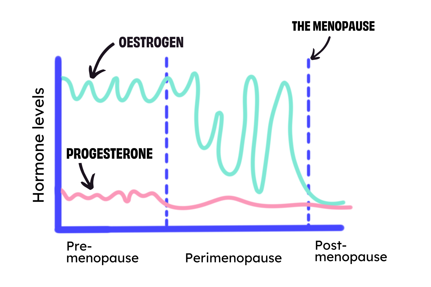 Graph showing hormone levels throughout the menopause. Oestrogen and progesterone fluctuate cyclically in the pre-menopause, then become unstable and fluctuate irregularly in the perimenopause and are low levels in the post-menopause