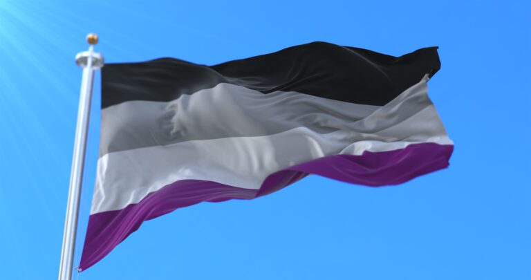 asexual flag on a blue background in an article about asexuality