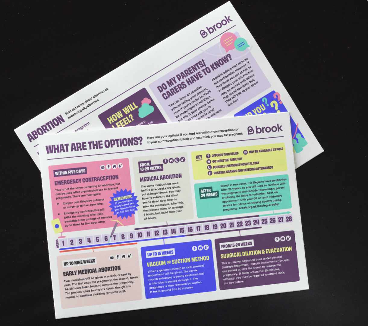 Printed handouts with the titles "Abortion" and "What are the options?"